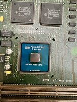 IMG_1377.jpeg