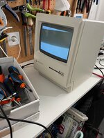 IMG_9203.jpeg