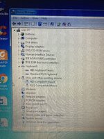 IMG_7666.jpeg IMG_7666.jpeg