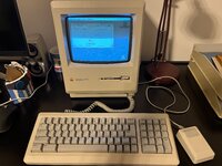IMG_9448.jpeg