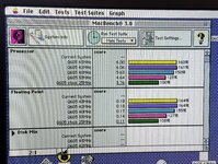 IMG_6782.jpeg