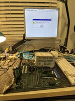 IMG_3305.jpeg IMG_3305.jpeg