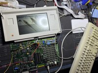 IMG_3363.jpeg