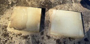 IMG_8114.jpeg