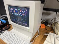 IMG_1407.jpeg