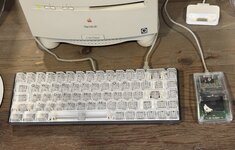 IMG_8192.jpeg