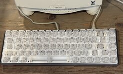 IMG_8193.jpeg