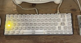 IMG_8195.jpeg