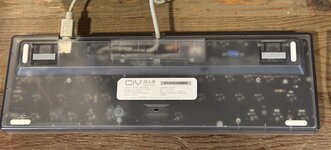 IMG_8196.jpeg