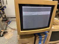 IMG_8258.jpeg