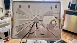 IMG_4267.jpeg