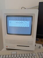 PXL_20250422_134834327.jpg