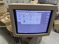 IMG_8621.jpeg