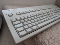 PXL_20250504_105847203.jpg