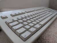 PXL_20250506_125029246.jpg