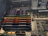 IMG_0604.jpeg