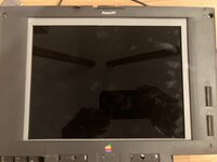 IMG_0867.jpeg