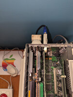 PXL_20250821_222317101.jpg