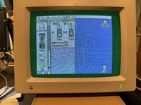 IMG_2394.jpeg