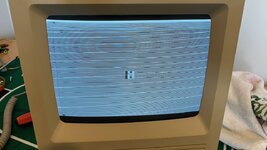 IMG_1601.jpeg