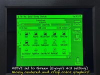 A2DVI_Centered_Eyoyo4x3-GRN.jpg