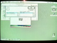 IMG_2517.JPEG