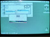 IMG_2519.JPEG