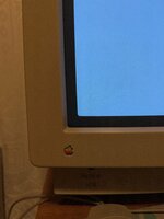 IMG_0301.jpeg
