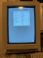 IMG_0300.jpeg