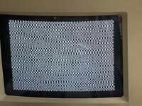 IMG_9853.jpeg