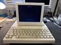 IMG_9950.jpeg