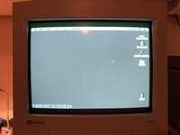 IMG_2591.JPEG