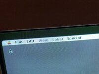IMG_2592.JPEG