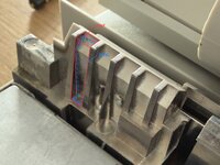 IMG_0294.jpeg