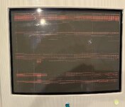 IMG_8391.jpeg