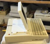 IMG_1386.jpeg