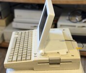 IMG_1384.jpeg