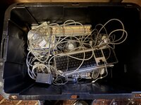 IMG_2467.jpeg
