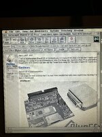 IMG_7750.jpeg