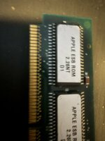 IMG_1004.jpeg