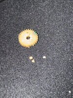 IMG_2432.jpeg