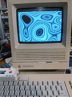 IMG_0051.jpeg
