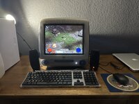 IMG_2127.jpeg