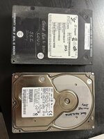 IMG_8149.jpeg