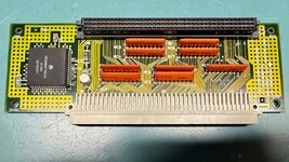IMG_2022.jpg