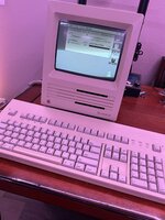 IMG_3359.jpeg