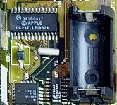 IMG_7955.jpeg