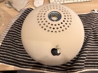 IMG_5155.jpeg