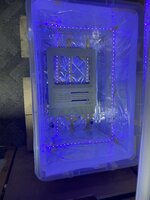 IMG_4663.jpeg