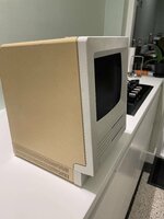 IMG_4666.jpeg